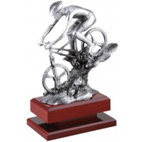 Trofeo btt