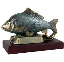 Trofeo carpfishing