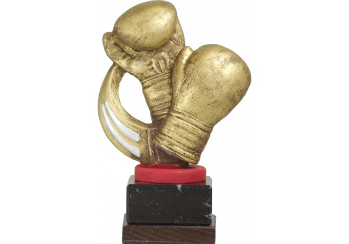 Trofeos boxeo