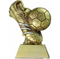 Trofeos fútbol participación