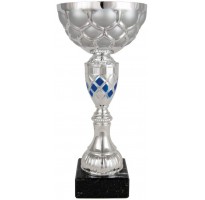 Copa deportiva plateada y azul