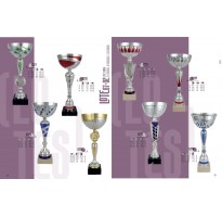 Pack de 24 trofeos baratos copas deportivas Pack de 24 trofeos baratos copas deportivas