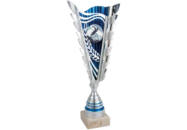 Trofeo copa natación
