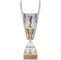 Trofeo golf color