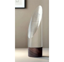 Premio cristal grabado 0100120