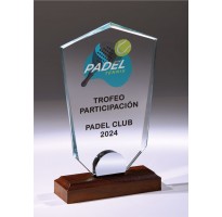 Premio moderno personalizado FS-2501 de cristal