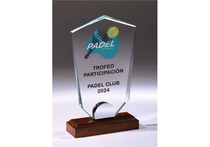Premio moderno personalizado FS-2501 de cristal Premio moderno personalizado FS-2501 de cristal