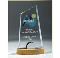 Premios personalizados cristal madera FS-151-2401