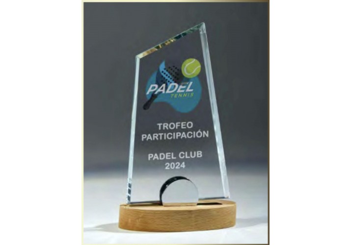 Premios personalizados cristal madera FS-151-2401