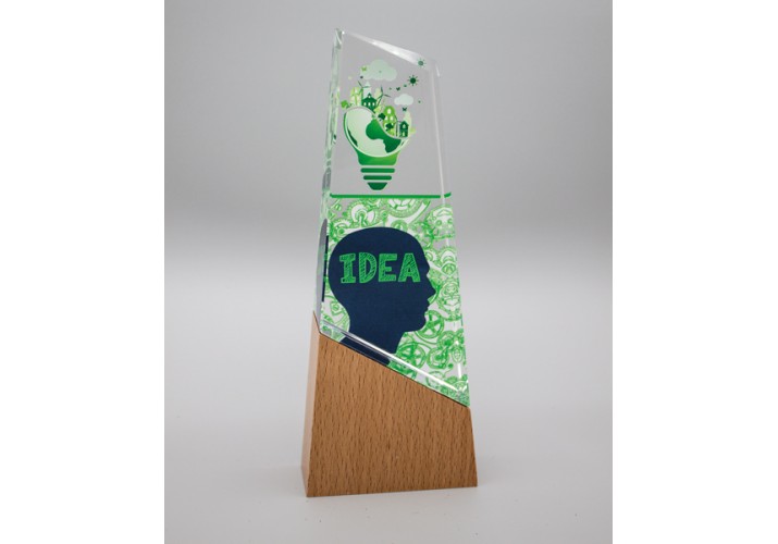 Premios personalizados cristal madera FS-137-2206