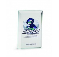 Premio cristal grabado Z-20-2342 trofeos personalizados gamer