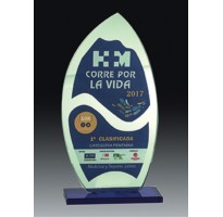 Cristal grabado 5095 premios personalizados campeonatos