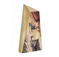 Premio madera grabada FS-2692-G